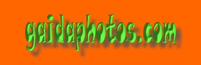 Royalty free photos international software licensing